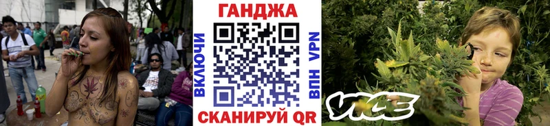 Бошки Шишки индика  Купить закладки  Волосово 
